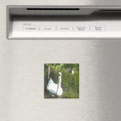 Schwan am Teich Magnet (In Situ (Geschirrspüler))
