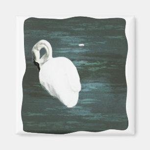 Schwan am Teich Magnet