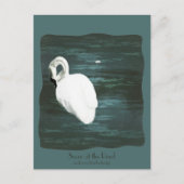 Schwan am Teich Postkarte (Vorderseite)