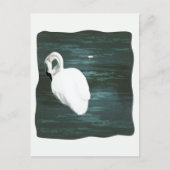 Schwan am Teich Postkarte (Vorderseite)