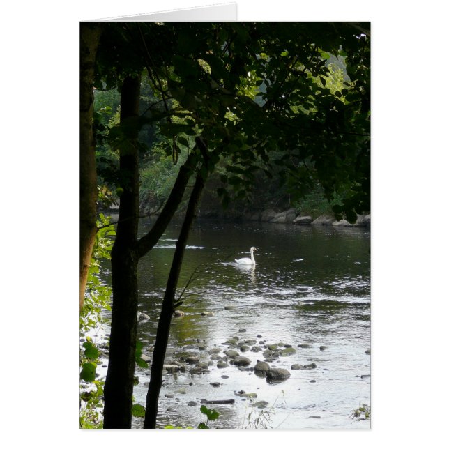 Schwan auf dem Fluss II Vertikal (Vorne)