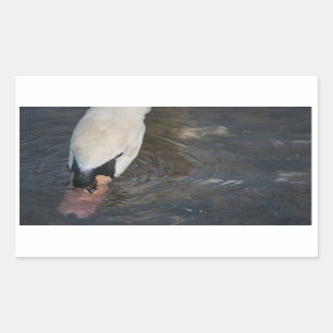 Schwan-Aufkleber Rechteckiger Aufkleber