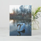 Schwan bei Sonnenuntergang auf dem See (Stehend Vorderseite)