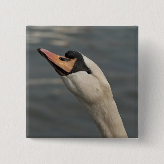 Schwan Button (Vorderseite)