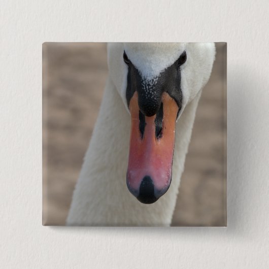 Schwan Button (Vorderseite)