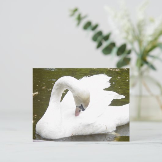 Schwan des Sees Postkarte (Stehend Vorderseite)
