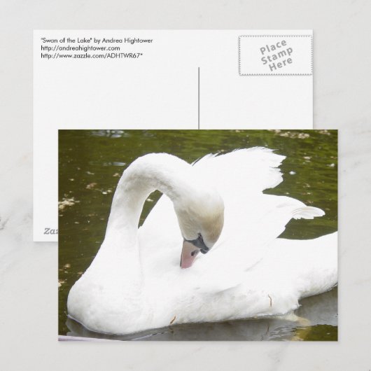 Schwan des Sees Postkarte (Vorne/Hinten)