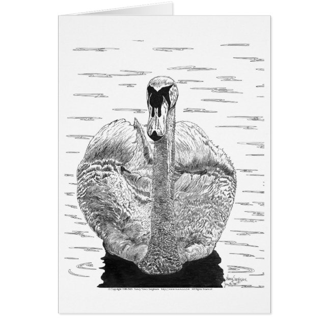 Schwan Feder (Vorne)