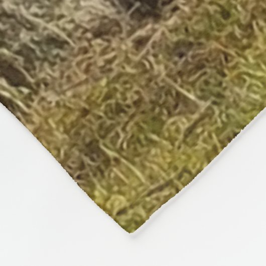 Schwan Fleecedecke (Ecke)