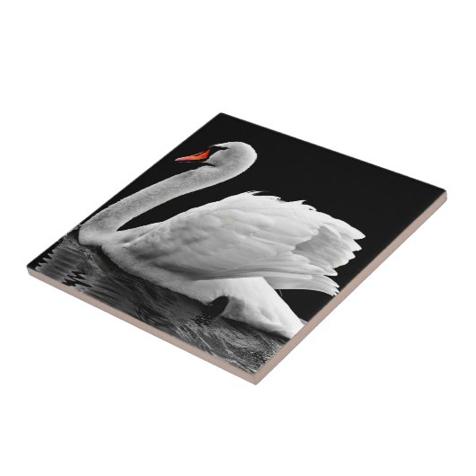 Schwan Fliese (Seite)