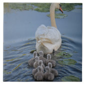 Schwan Fliese (Vorderseite)