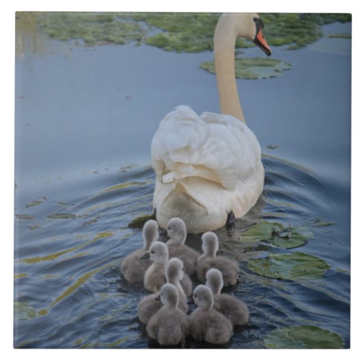 Schwan Fliese (Vorderseite)