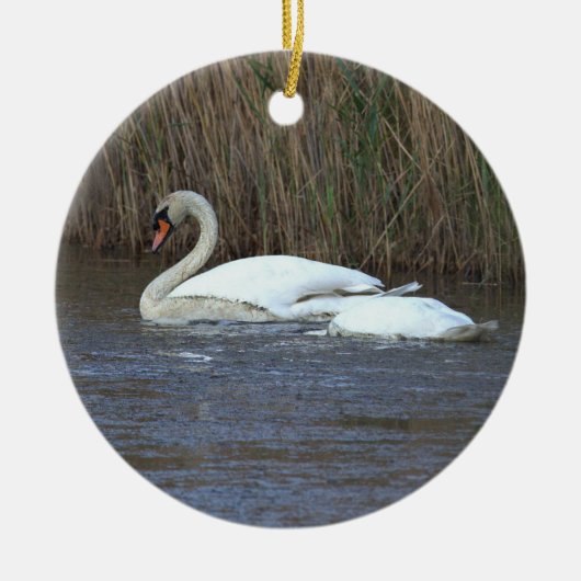 Schwan Foto Ornament (Vorne)