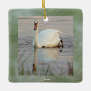 Schwan Foto Ornament