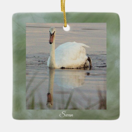 Schwan Foto Ornament (Vorderseite)