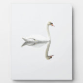 Schwan Fotoplatte (Vorderseite)