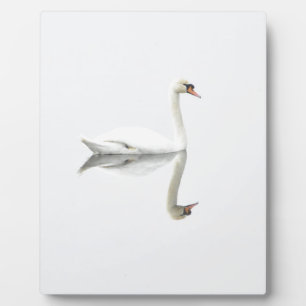 Schwan Fotoplatte