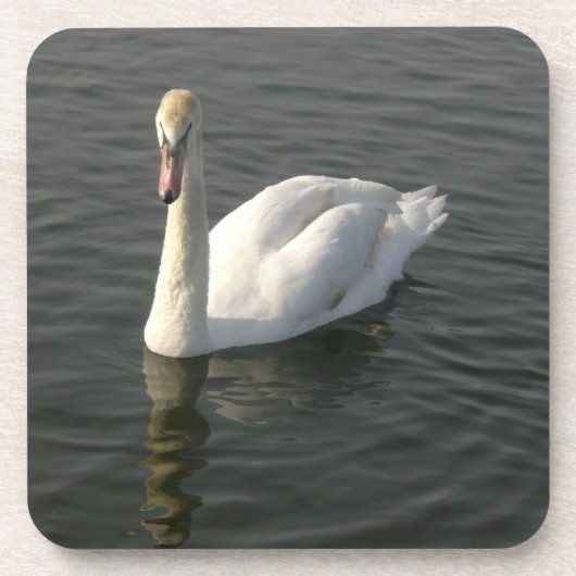 Schwan Getränkeuntersetzer (Vorderseite)