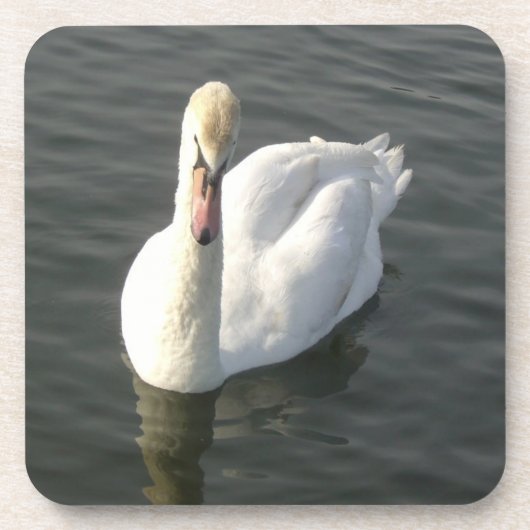 Schwan Getränkeuntersetzer (Vorderseite)