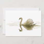Schwan gleitet über Wasser Einladung (Vorderseite)