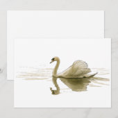 Schwan gleitet über Wasser Einladung (Vorne/Hinten)