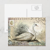 Schwan Grafik Postkarte (Vorne/Hinten)