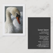 Schwan (grenzt) visitenkarte (Vorne/Hinten)