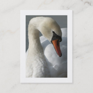 Schwan (grenzt) visitenkarte