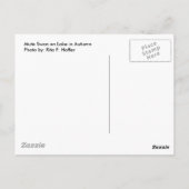 Schwan im Herbst Postkarte (Rückseite)