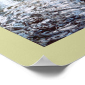 Schwan im Schatten Poster (Ecke)