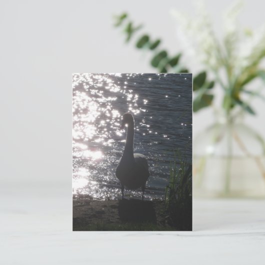 Schwan in der Abend-LED Postkarte (Stehend Vorderseite)
