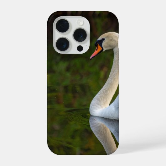 Schwan iPhone Hülle (Rückseite)