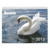 Schwan-Kalender 2012 Kalender (Titelbild)