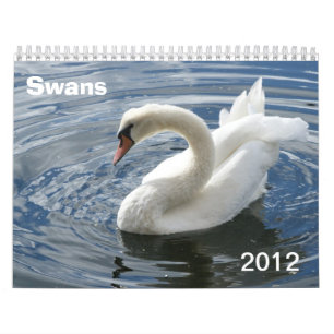 Schwan-Kalender 2012 Kalender