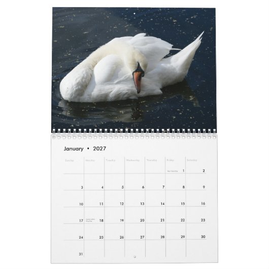 Schwan-Kalender 2012 Kalender (Jan 2027)