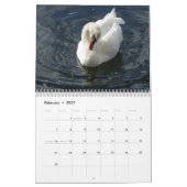 Schwan-Kalender 2012 Kalender (Feb 2027)