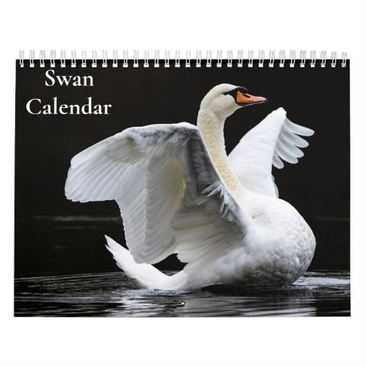 Schwan-Kalender 2027 Kalender (Titelbild)