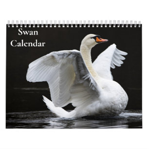 Schwan-Kalender 2027 Kalender