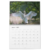Schwan-Kalender 2027 Kalender (Mär 2027)