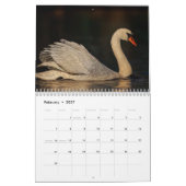 Schwan-Kalender 2027 Kalender (Feb 2027)
