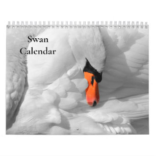 Schwan-Kalender 2027 Kalender
