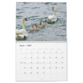 Schwan-Kalender 2027 Kalender (Mär 2027)