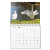 Schwan-Kalender Kalender (Jan 2027)