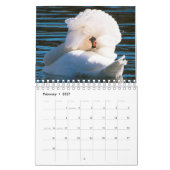 Schwan-Kalender Kalender (Feb 2027)