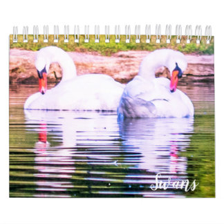 Schwan-Kalender Kalender