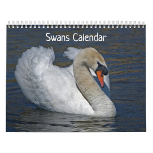 Schwan-Kalender Kalender