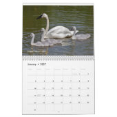 Schwan-Kalender Kalender (Jan 2027)