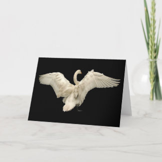 Schwan Karte