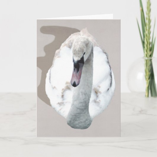 Schwan. Karte (Vorderseite)