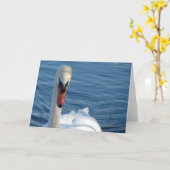 Schwan Karte (Gelbe Blume)
